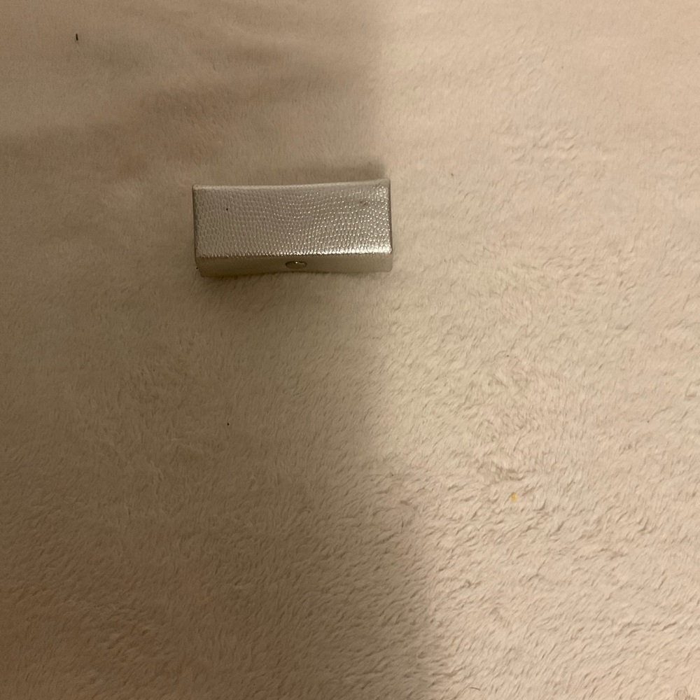 Elegant Silver Cosmetic Case